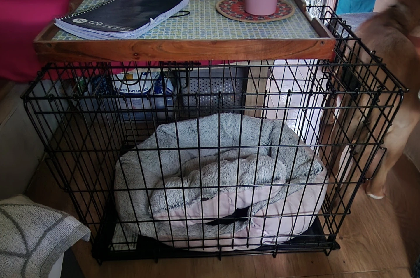 2 Door Dog Crate