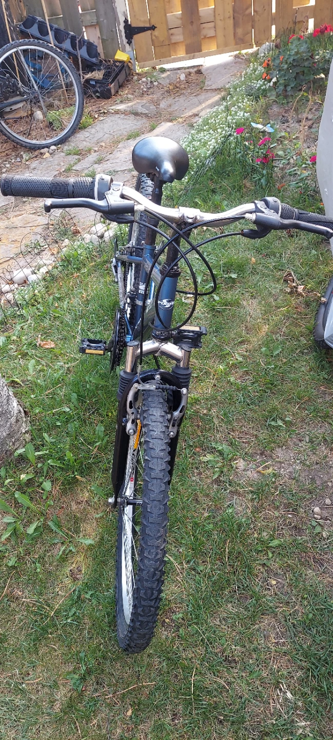 SPORTEX Blue Mountain Bike