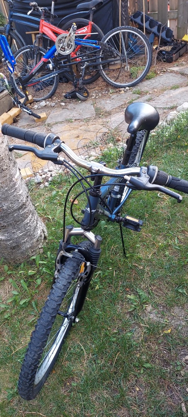 SPORTEX Blue Mountain Bike - photo 4
