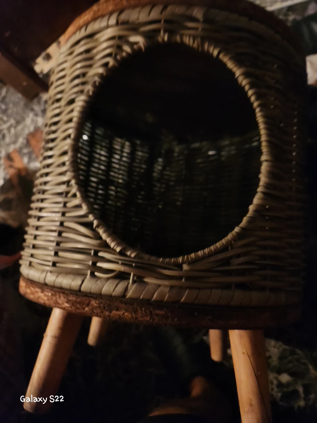 Wicker Pet House with Wooden Legs - photo 2