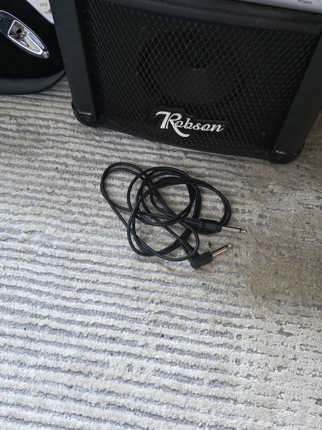 Electric guitar amp cable and case - photo 5