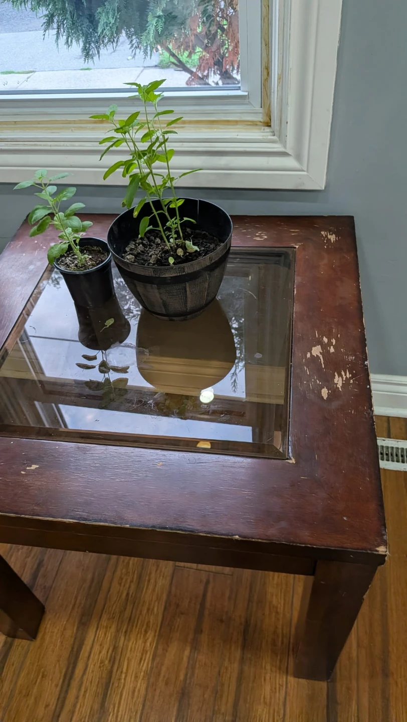 Wooden Accent Table with Glass Inlay - photo 2