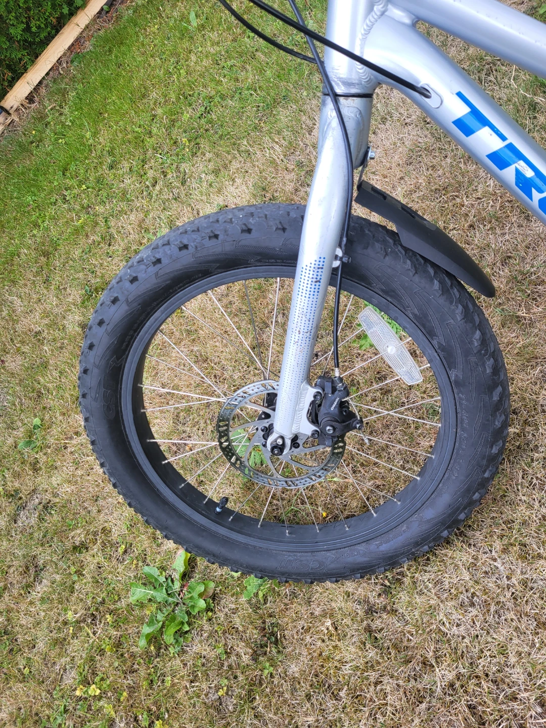Trek Roscoe 20 Kids Fat Tire Bike - photo 2