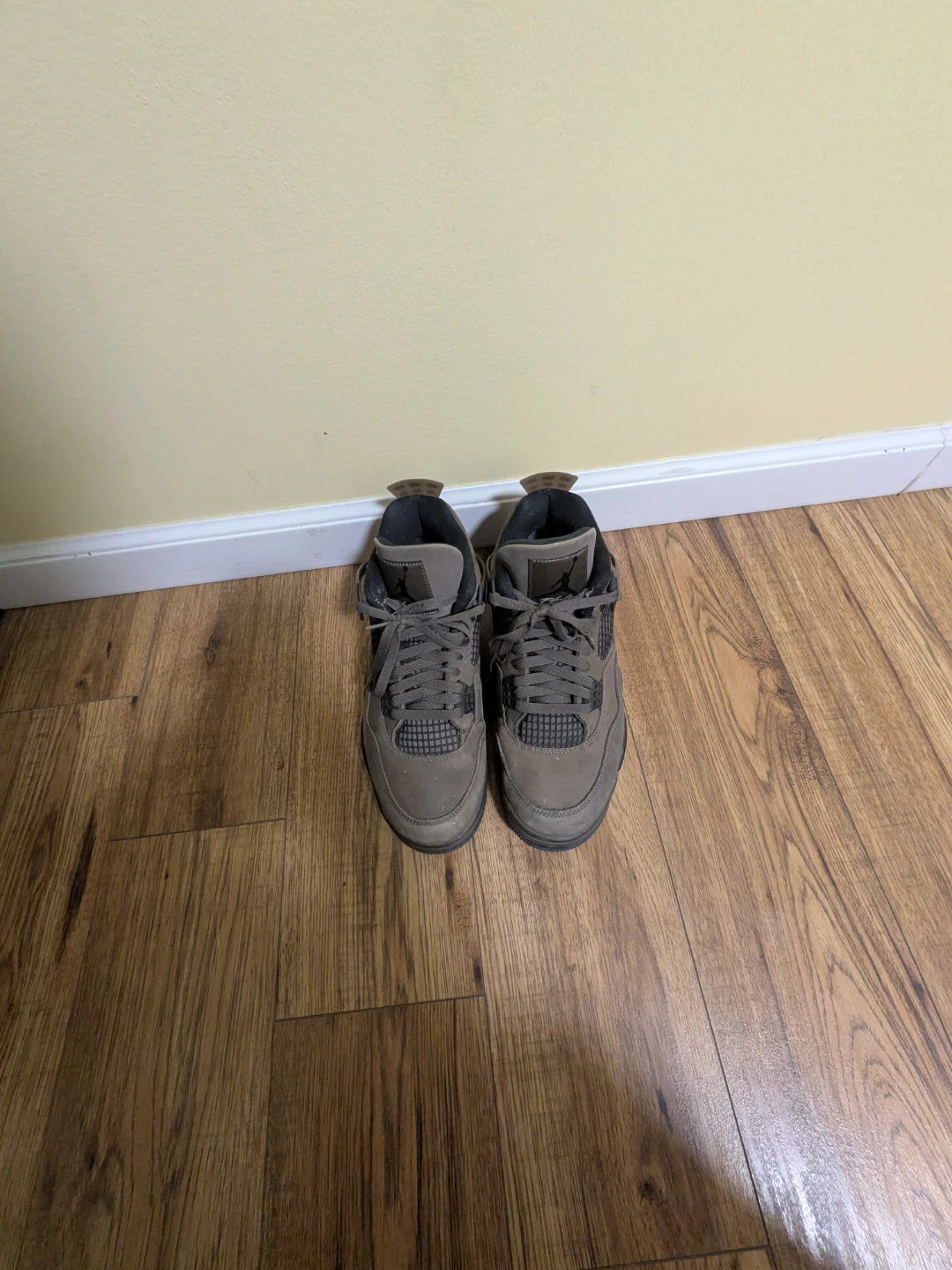 Air Jordan 4 cave stone