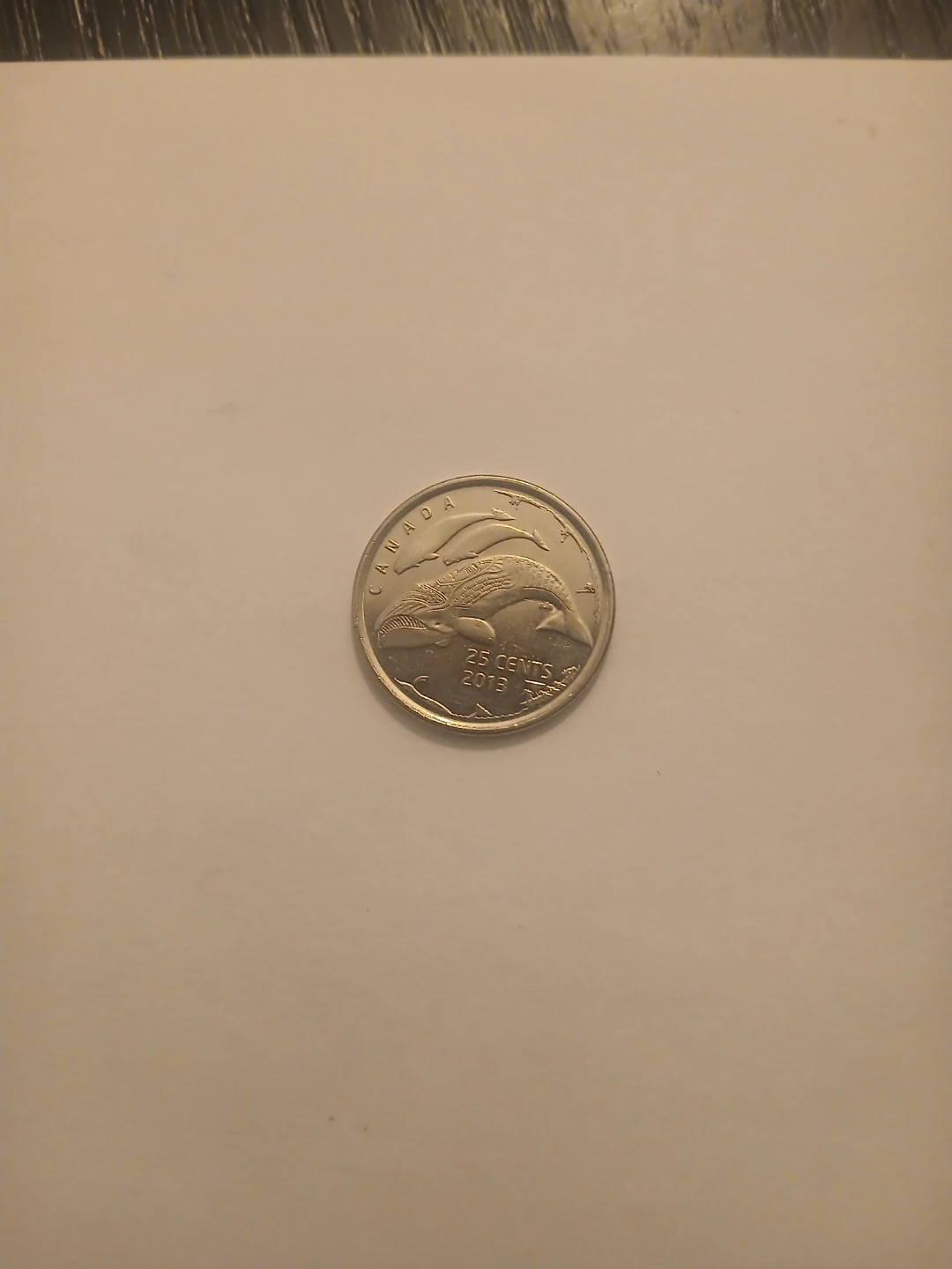 2013 Canada 25 Cents Coin - Beluga Whale
