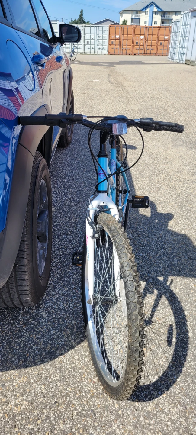 Blue Mountain Bike - photo 2
