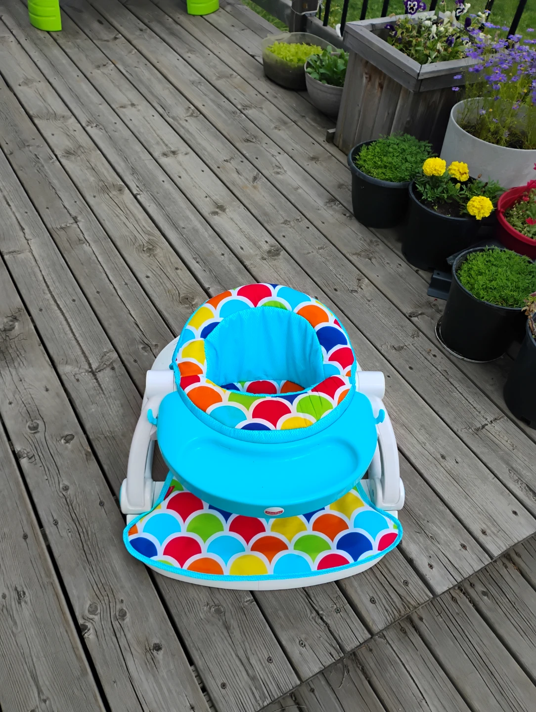 Fisher-Price Sit-Me-Up Floor Seat