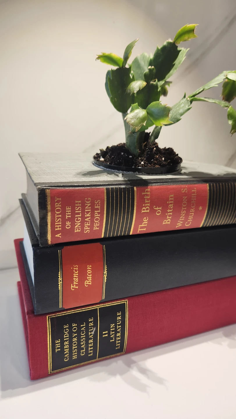 Upcycled book planter with plant - photo 2