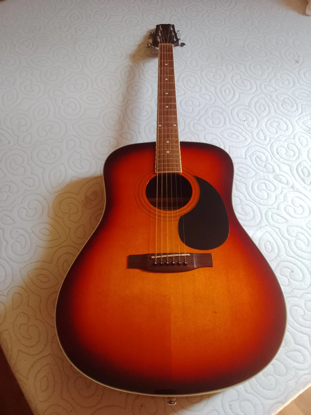 Segovia D-07 GTS Acoustic Guitar