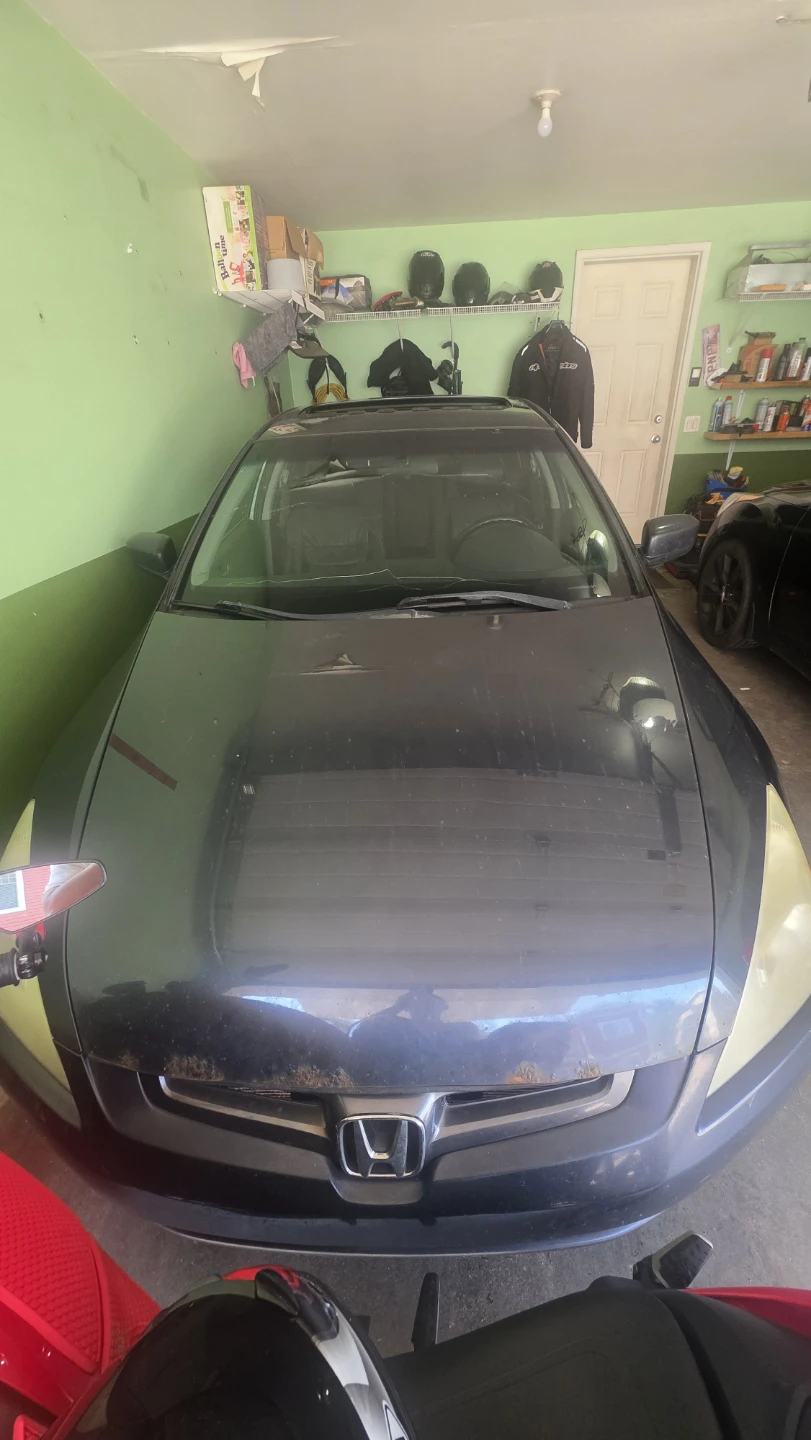 Honda Accord 2003 Dark grey Sedan - photo 4