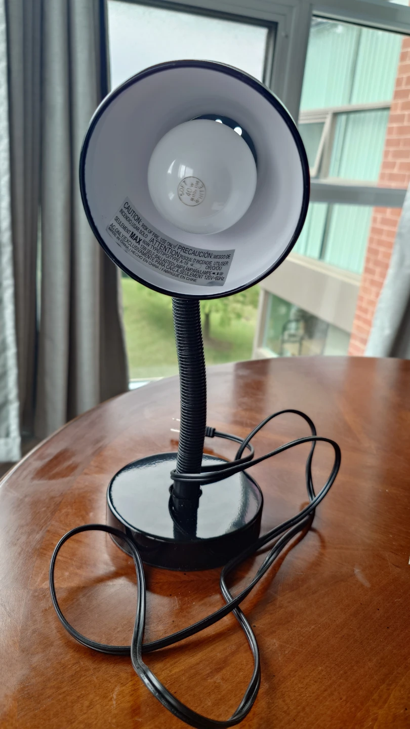 Black Flexible Gooseneck Desk Lamp