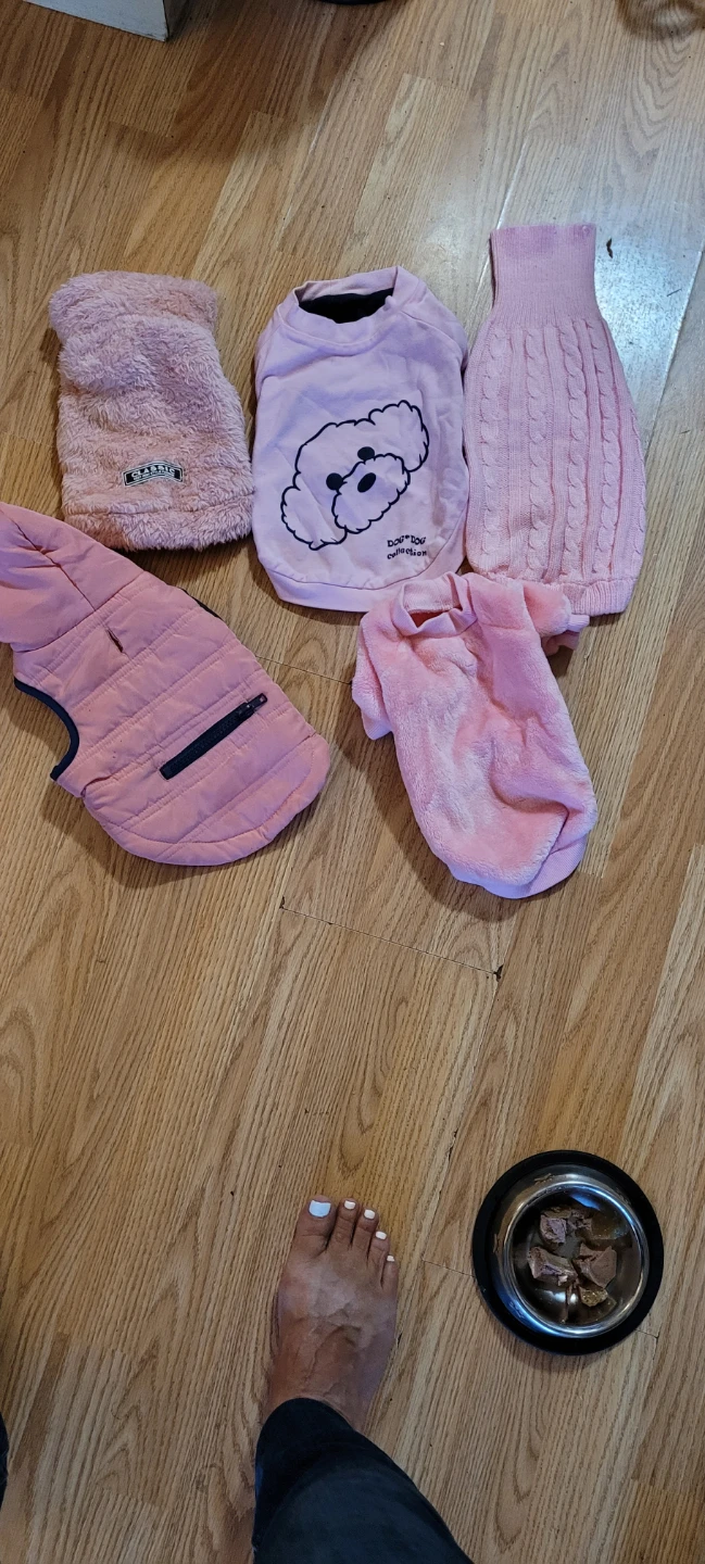 Set of 5 Small Dog Sweaters and Vests
