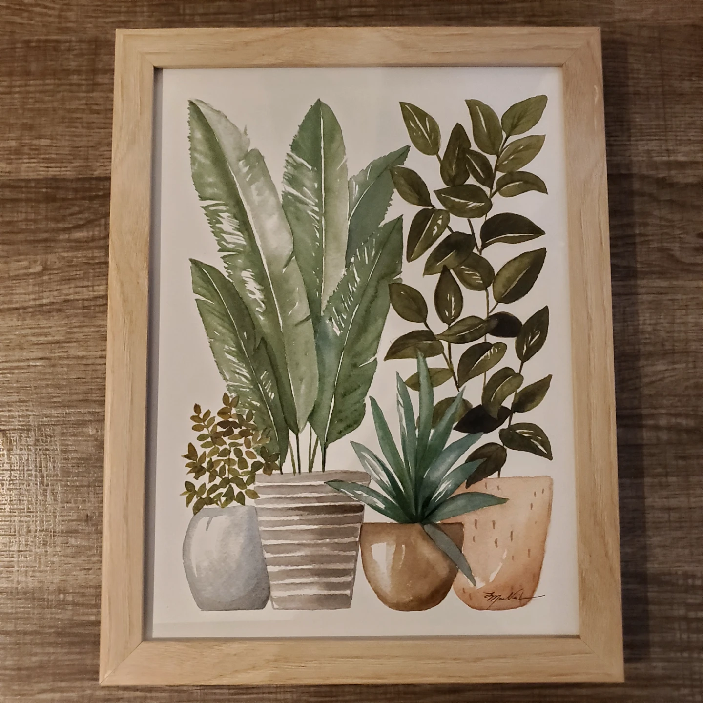 Framed Watercolour Print of Potted Plants