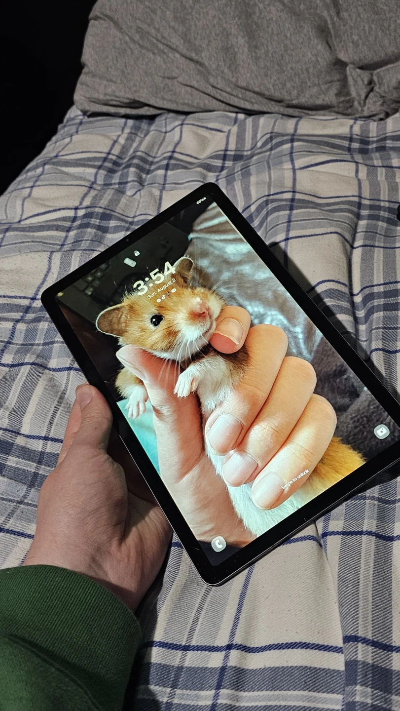 SamsungTab S6 lite - photo 3