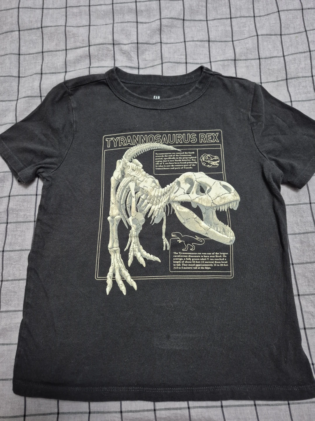 Gap T-shirt Bundle - photo 2