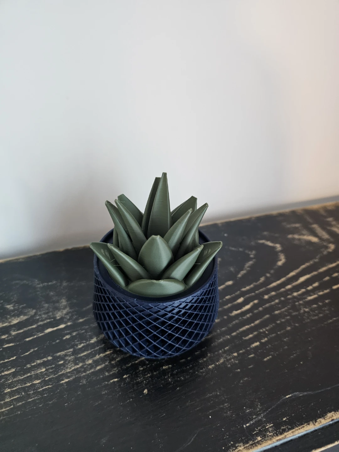 3D Printed succulent look Fruit Fly Traps - photo 3