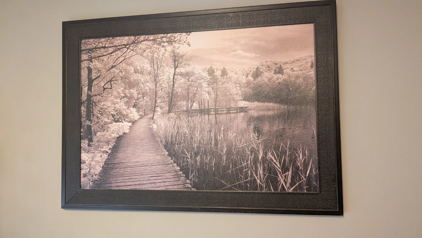Large framed sepia landscape wall art