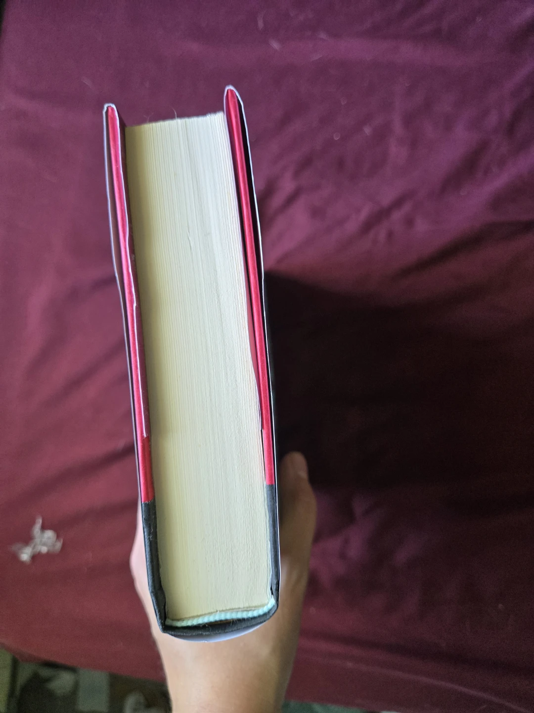 Dark Angel: A Letty Davenport Novel - photo 3