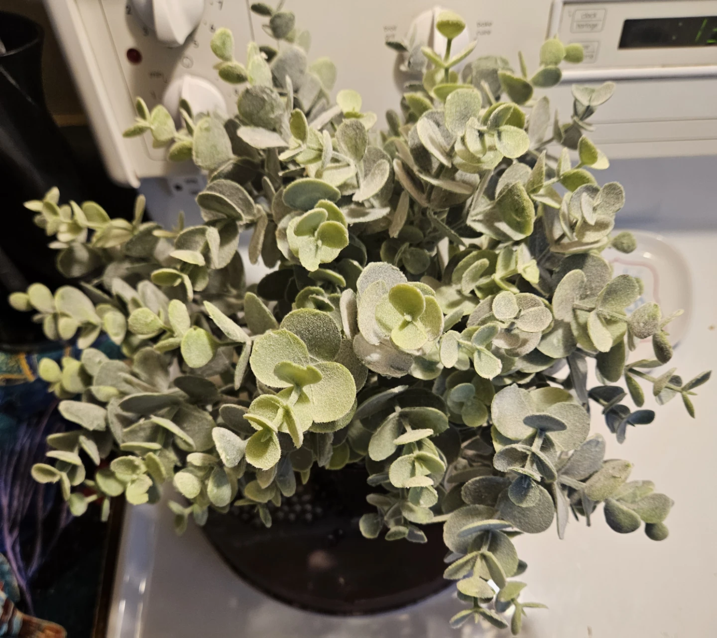 Artificial Eucalyptus Plant in Pot - photo 2