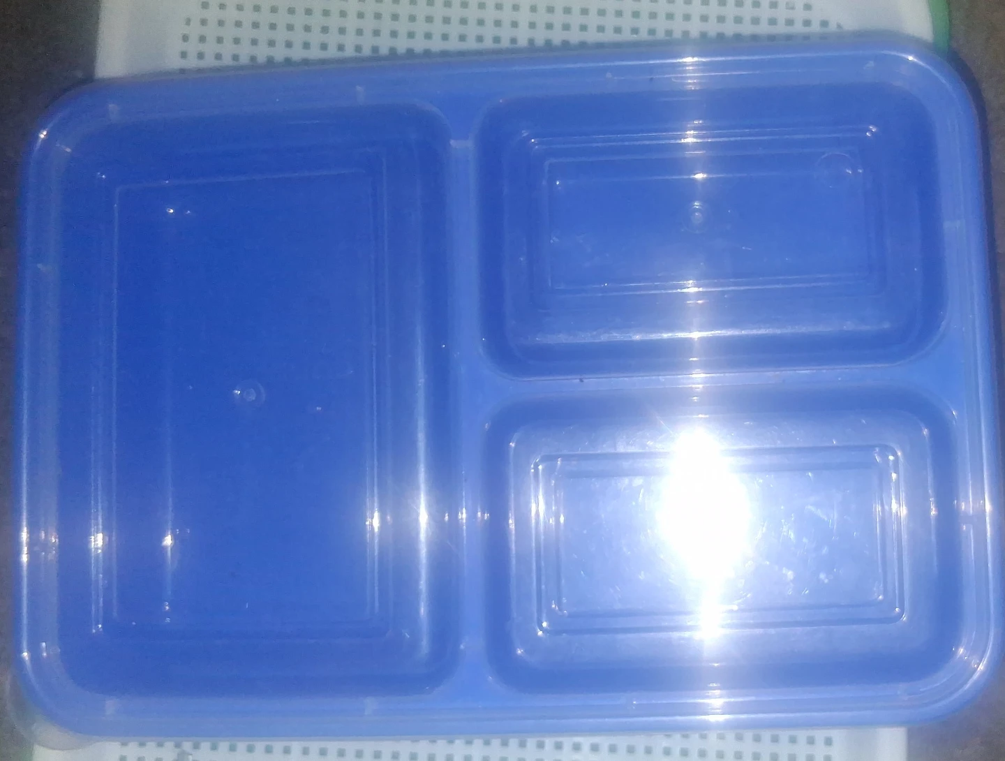 Blue 3-Compartment Food Container