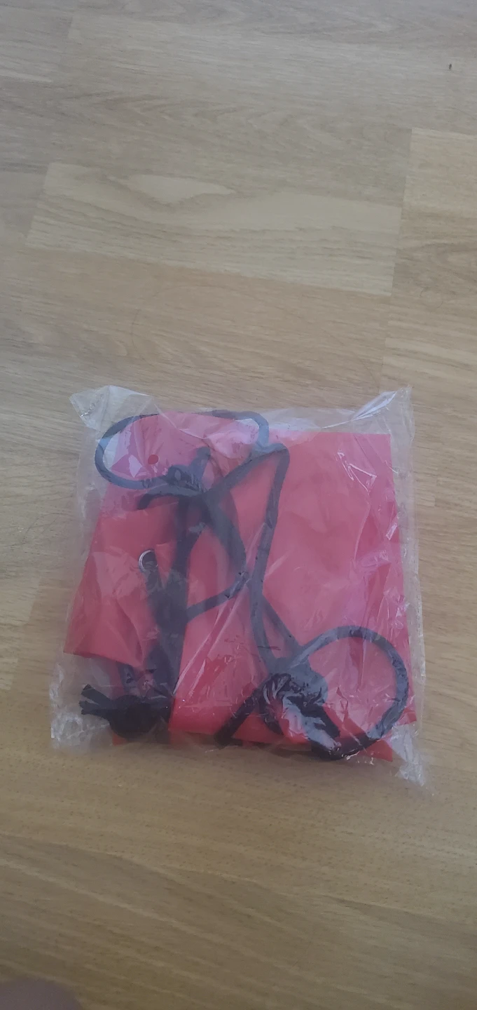 Toronto raptors bag