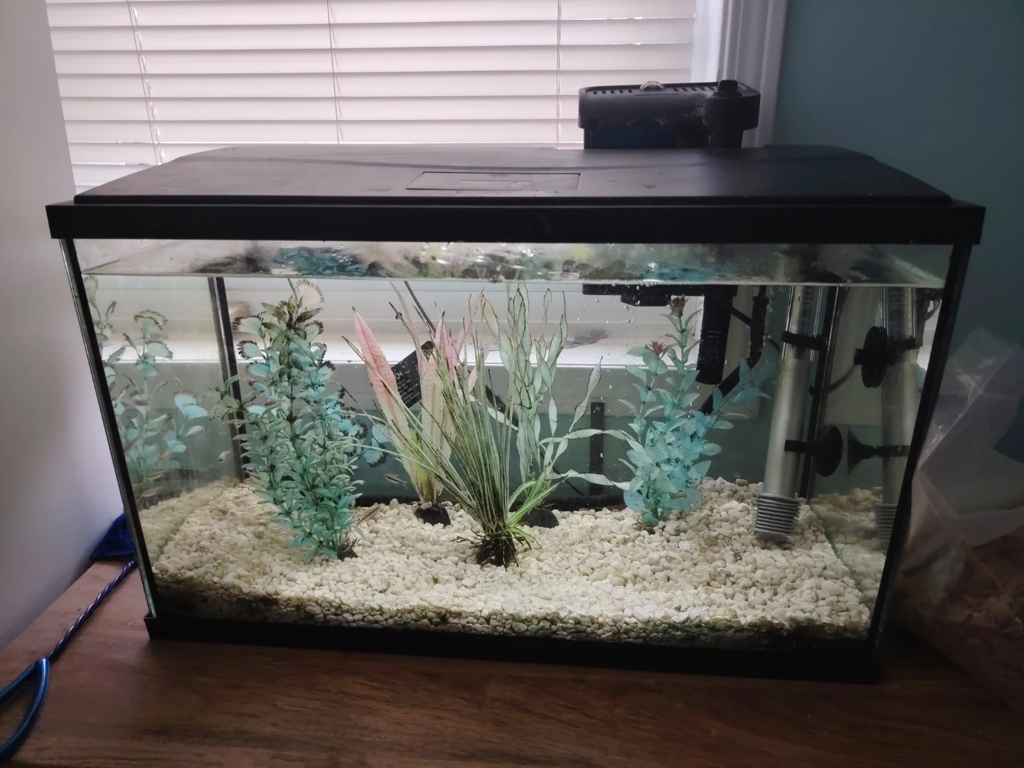 Aquarium with Filter and Fish Food - photo 2