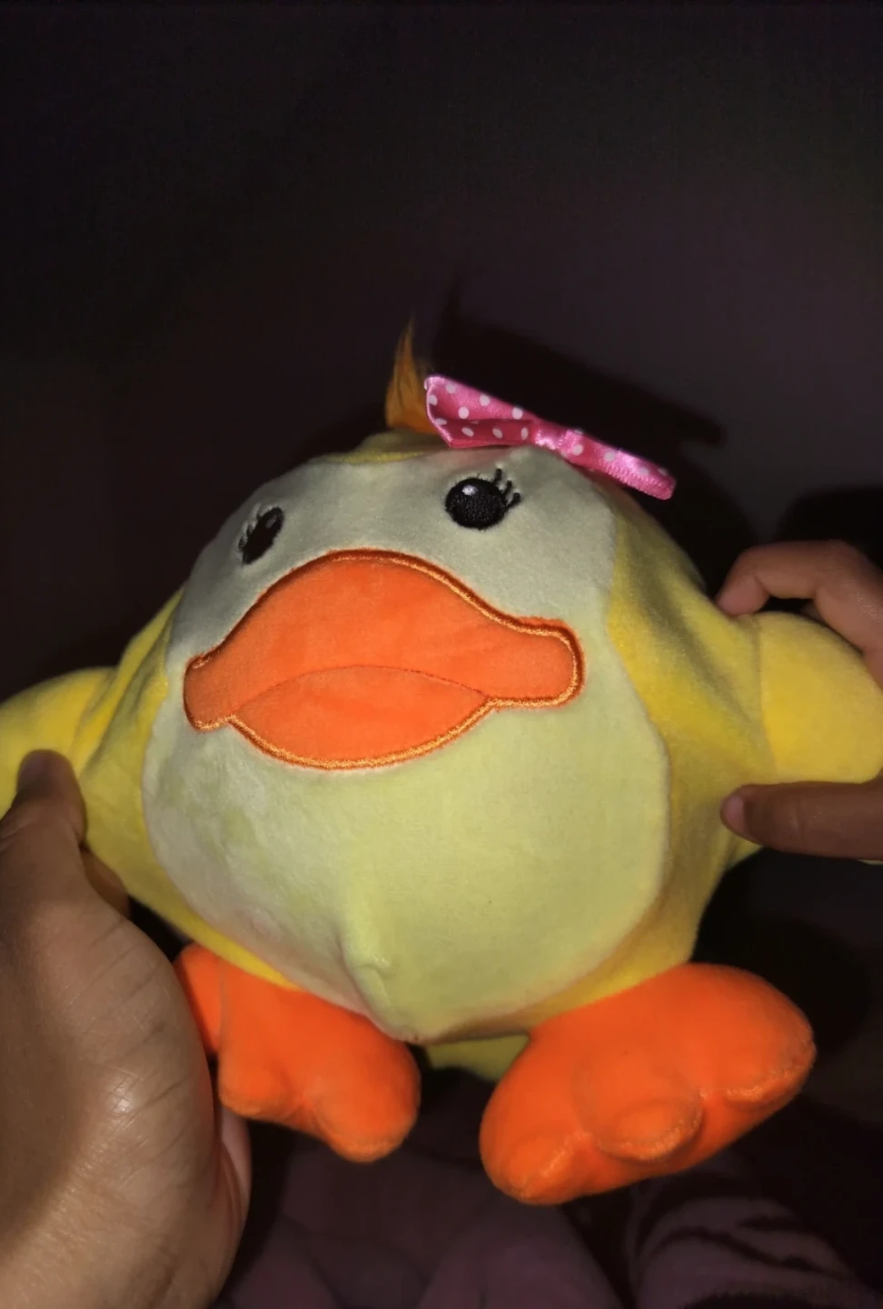 Plush Duck Toy water buddy
