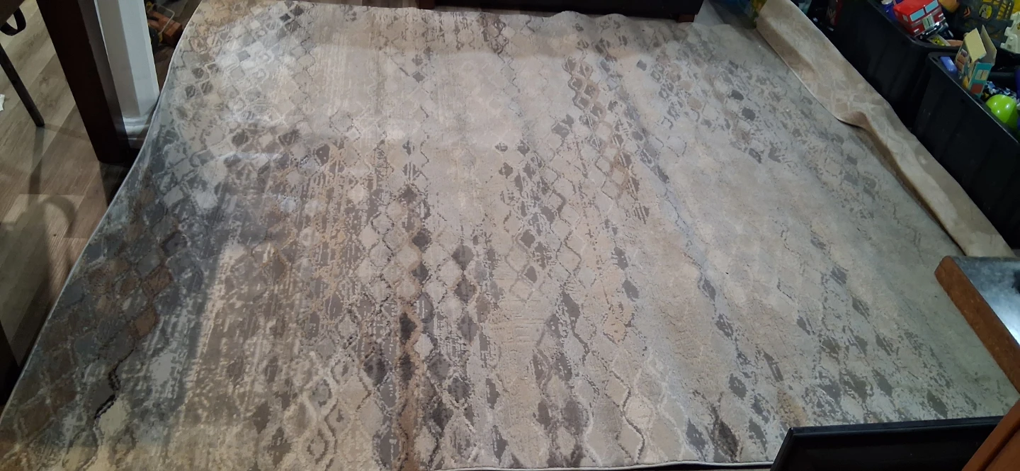 TWO (2) - Gertmenian Brio Designer Inspired Area Rug - photo 5