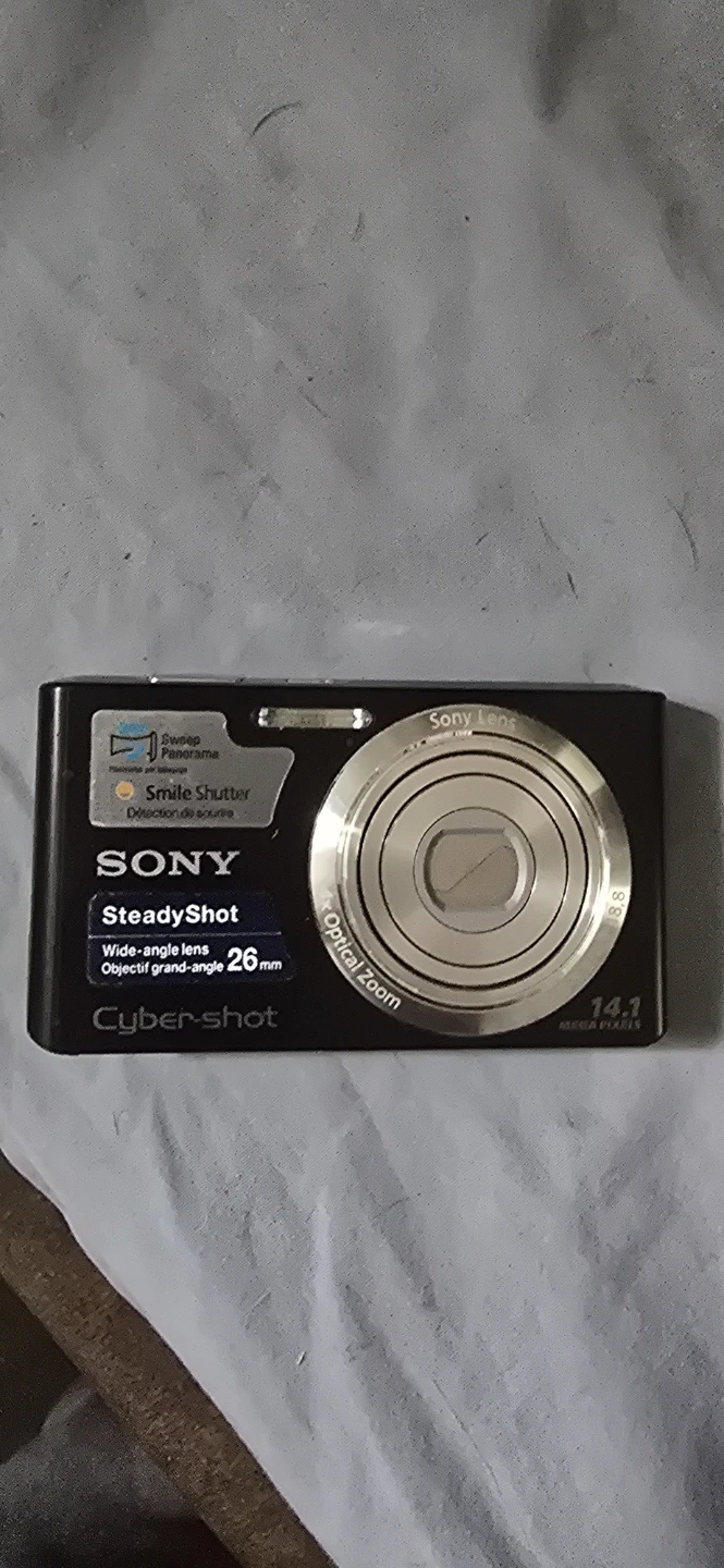 Sony Cyber-shot SteadyShot Digital Camera