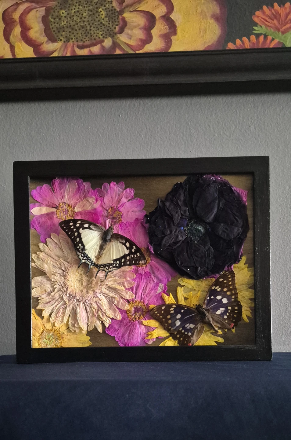 Great Nawab and Japanese Emperor shadow box