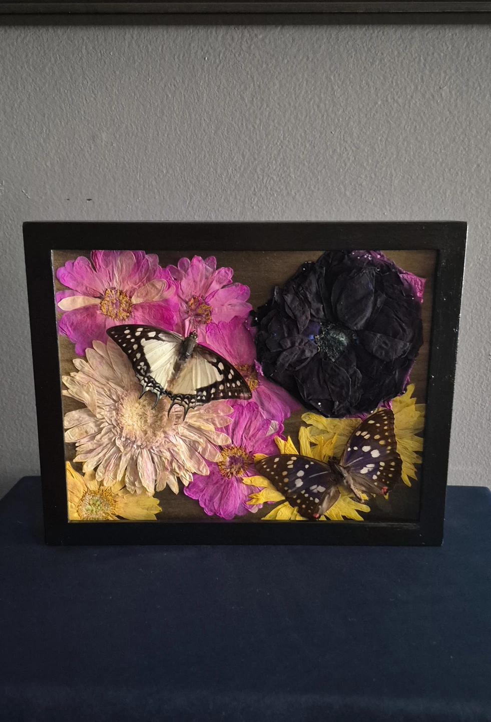 Great Nawab and Japanese Emperor shadow box - photo 2