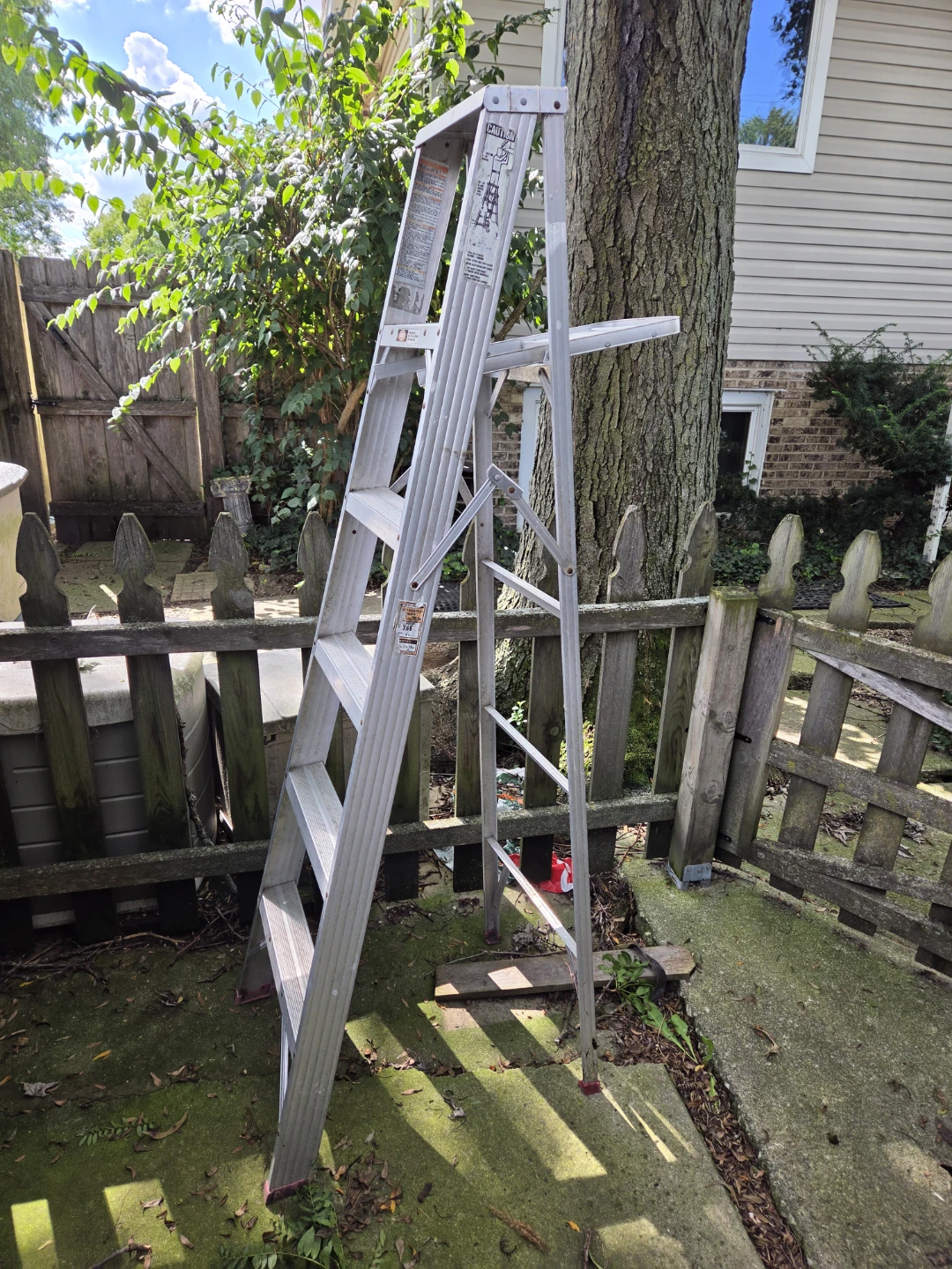Werner 6ft Aluminum Ladder
