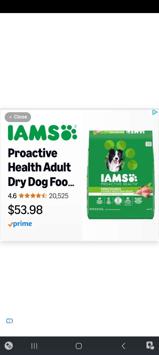 Dog food