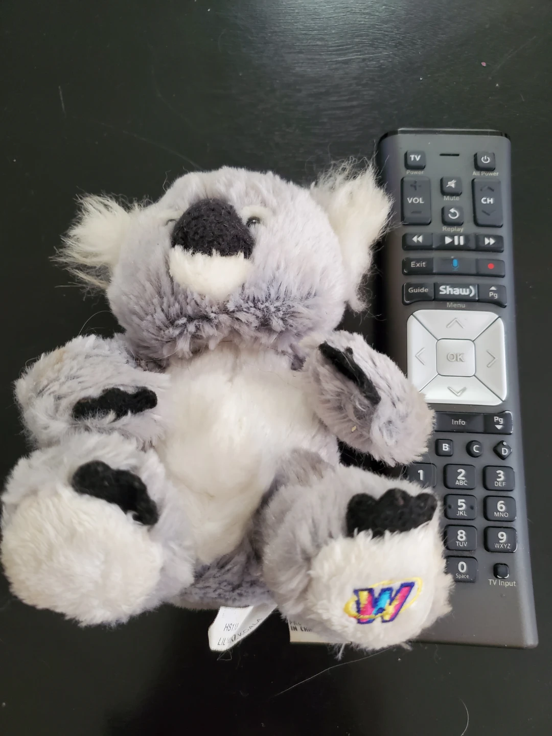 Stuffy - photo 3
