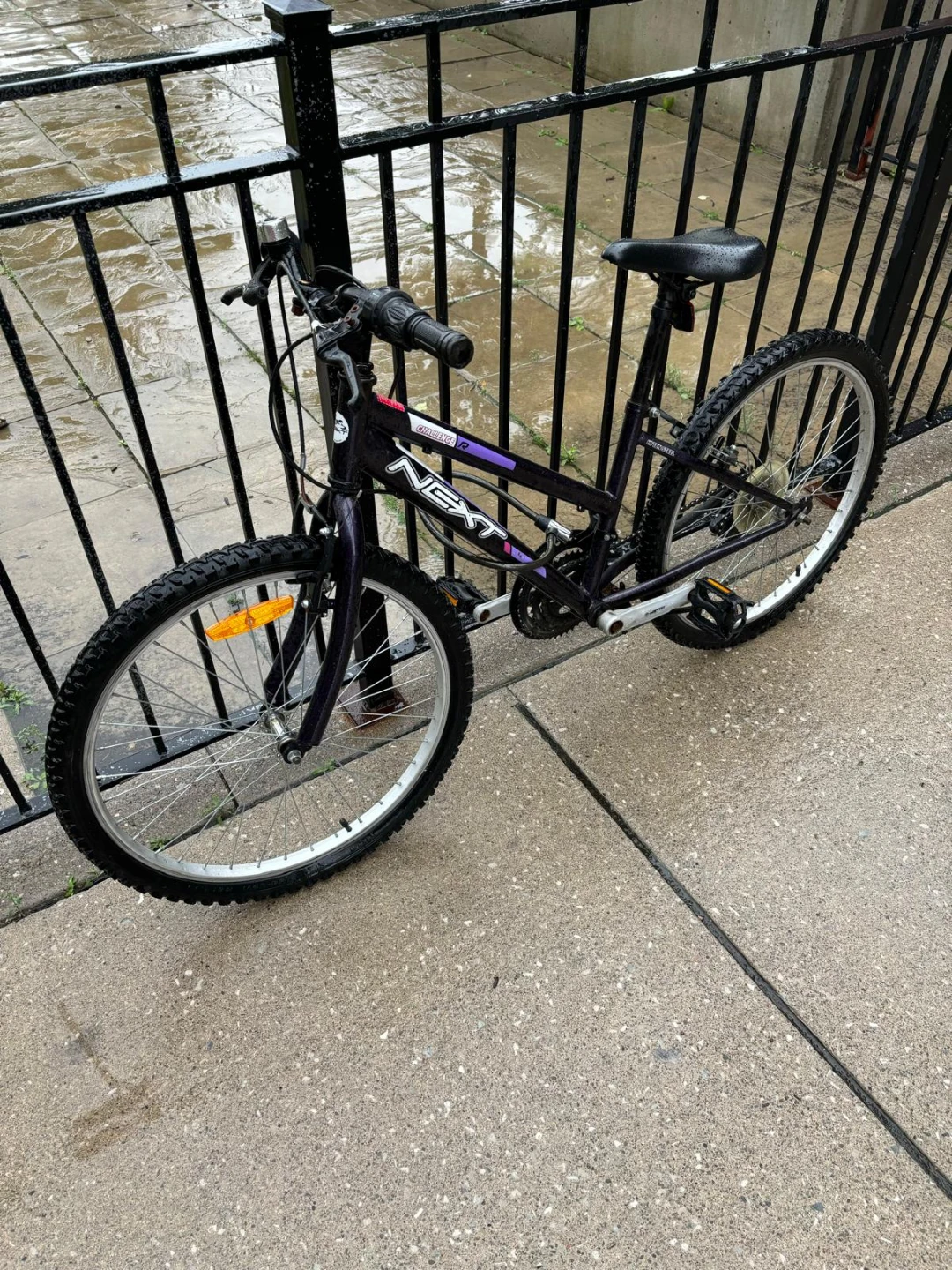 Next 10-Speed Mountain Bike - photo 2