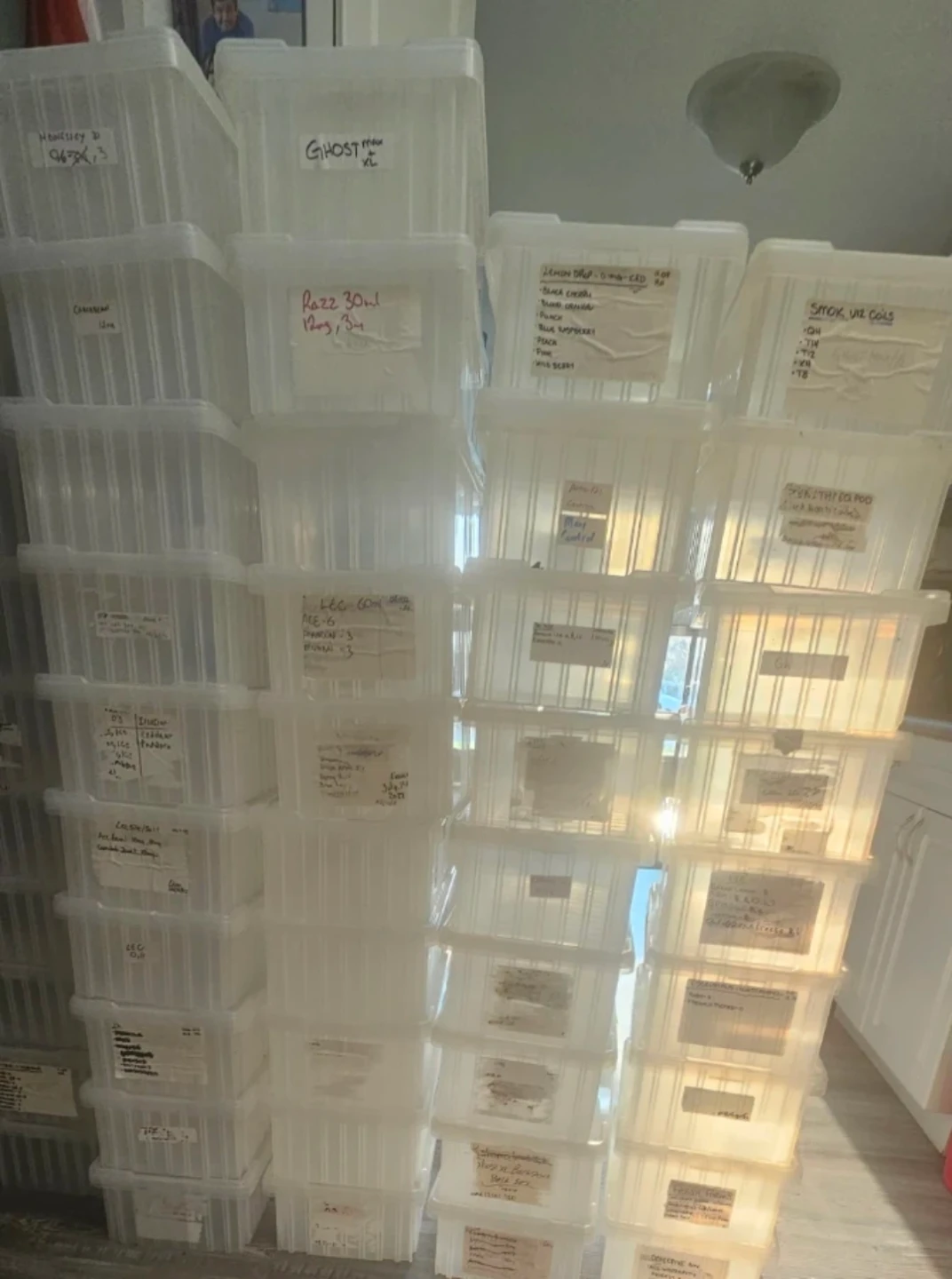 Medium size storage containers