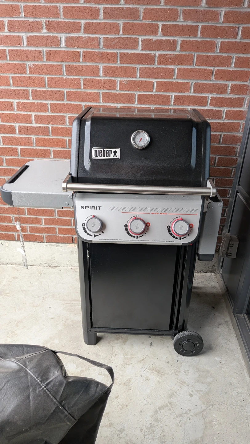 Weber Spirit II gas grill