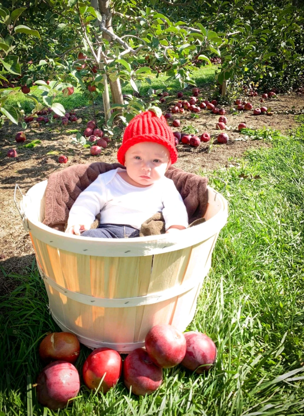 Pumpkin & Apple Hats are back!! - photo 5