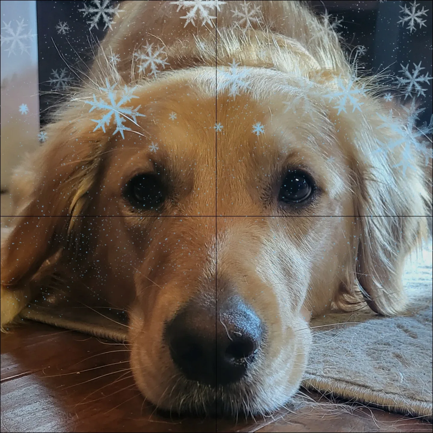 Custom Wood Photo Ornaments- Now taking orders for Xmas Season - photo 3