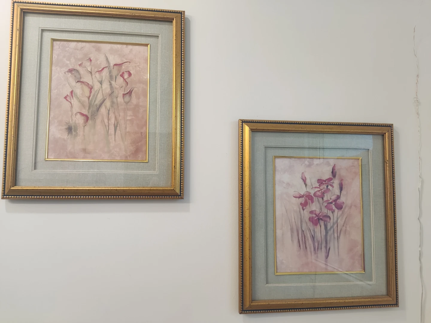 Framed & Matted Cheri Blum Prints on textured Canvas