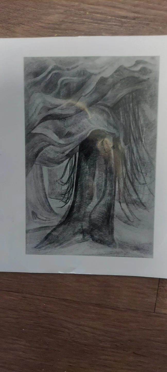 Reproduction of an Emily Carr  charcoal sketch. - photo 3