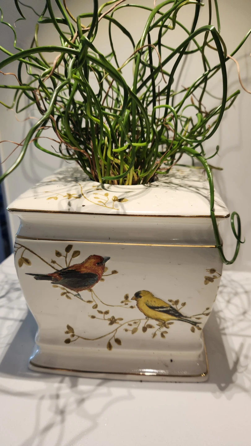 Upcycled whimsical kleenex box holder woth plants - photo 3