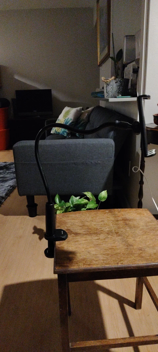 Black Gooseneck Phone Holder with Clamp