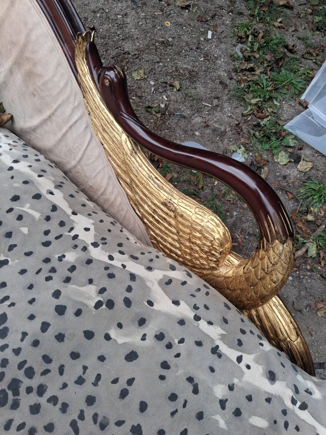 Free~ Absolute beauty ADDRESS IN DESCRIPTION - photo 3