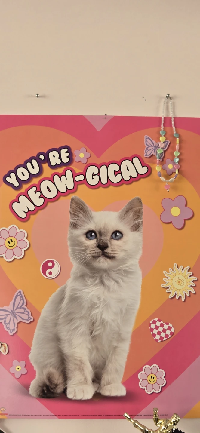 You're Meow-gical Poster with Kitten