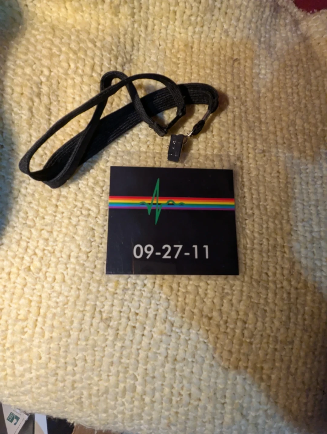 Pink Floyd "Why Pink Floyd?" Lanyard and Pass - photo 2