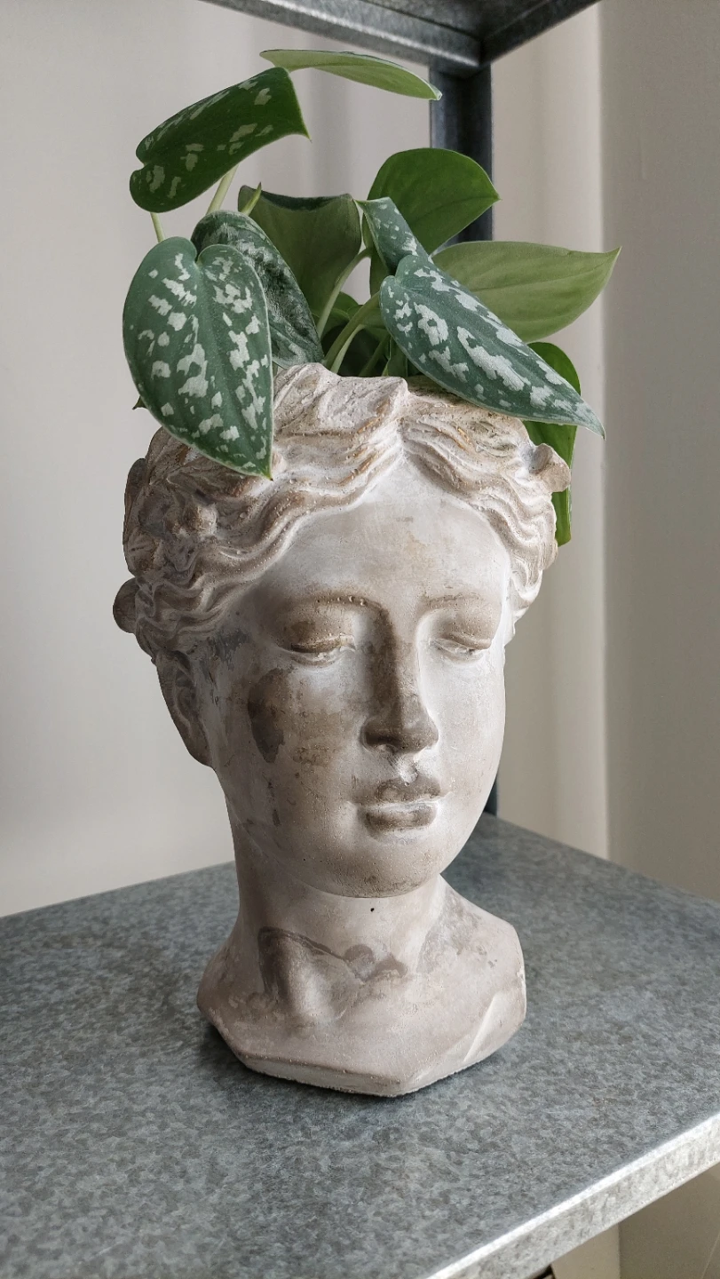 3 Plants with Stands & Planter