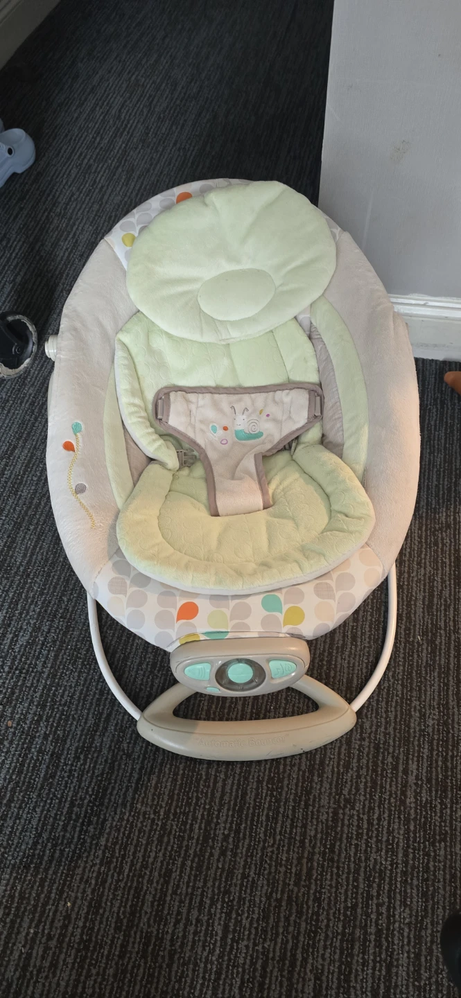 Ingenuity Baby Bouncer Seat