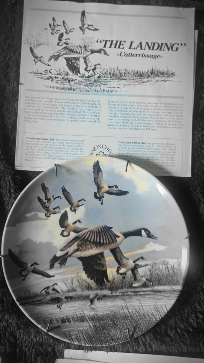 Collectable Vintage Plates in perfect  condition. - photo 4