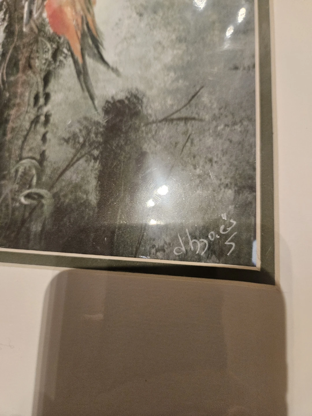 Framed Bird Art  Watercolors Print - photo 2